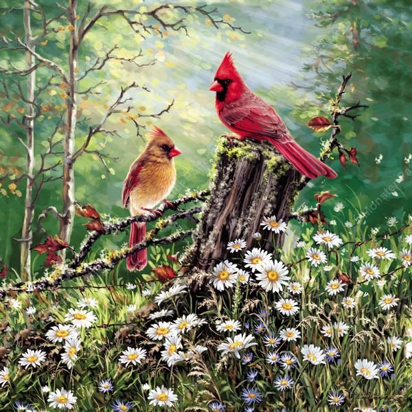 Cardinals in Meadow — original textile pattern for floral licensing