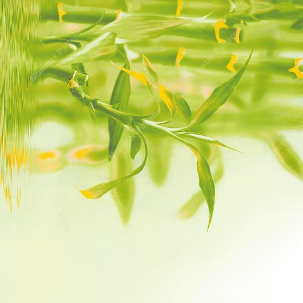 Bamboo Reflections — original textile pattern for botanical licensing