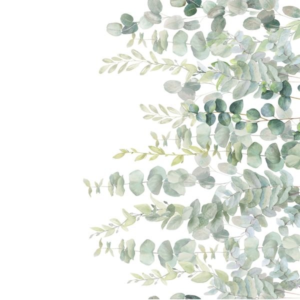 Eucalyptus Leaf Border — original textile pattern for botanical licensing