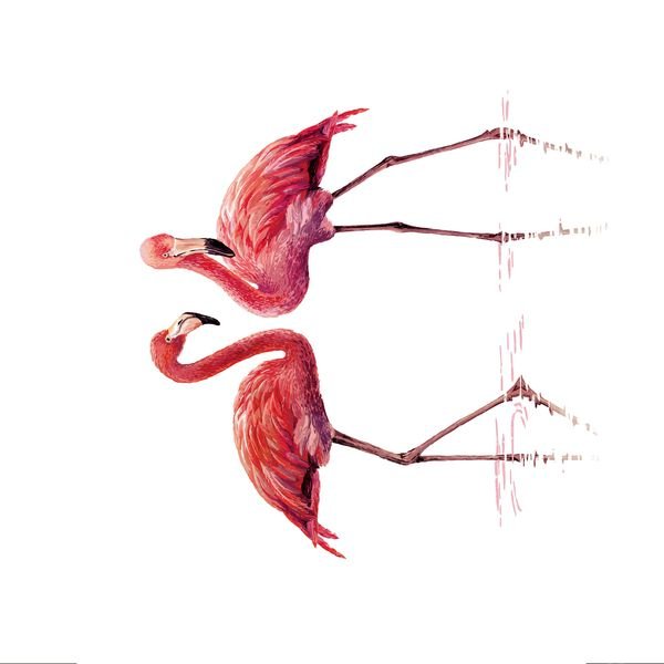 Flamingo Repeat Pattern — original textile pattern for nursery licensing