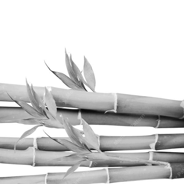 Bamboo Stalks Pattern — original textile pattern for botanical licensing