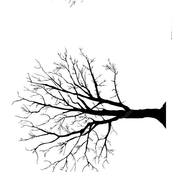 Bare Tree Branch Silhouette — original textile pattern for botanical licensing