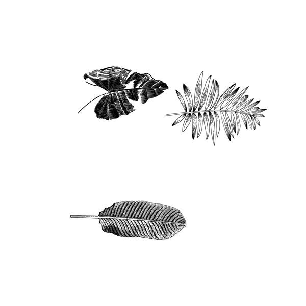Botanical Leaf Repeat — original textile pattern for botanical licensing