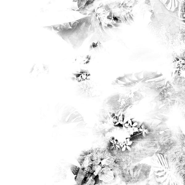 Monochrome Botanical Repeat — original textile pattern for botanical licensing