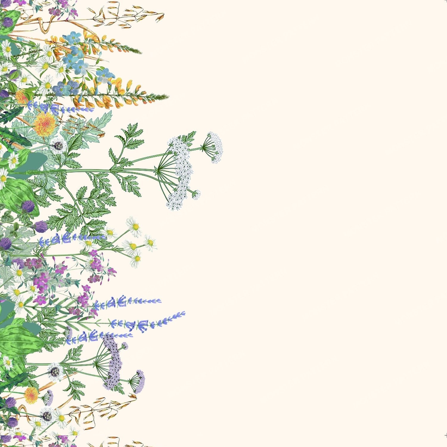 Wildflower Border Pattern — original textile pattern for floral licensing