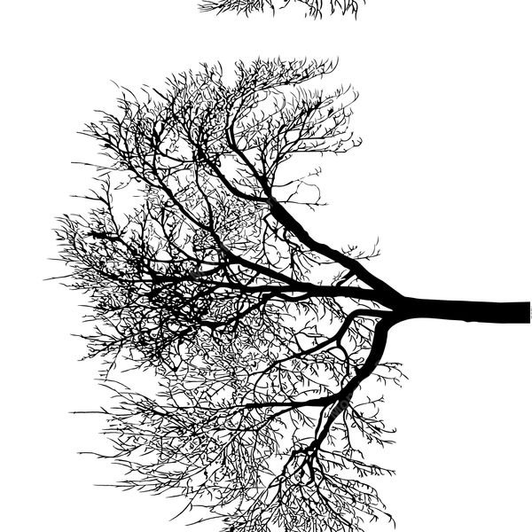 Bare Tree Branch Silhouette — original textile pattern for botanical licensing