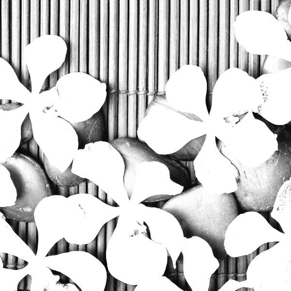 Floral Stones on Bamboo — original textile pattern for floral licensing