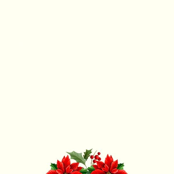 Poinsettia Border Pattern — original textile pattern for tabletop licensing