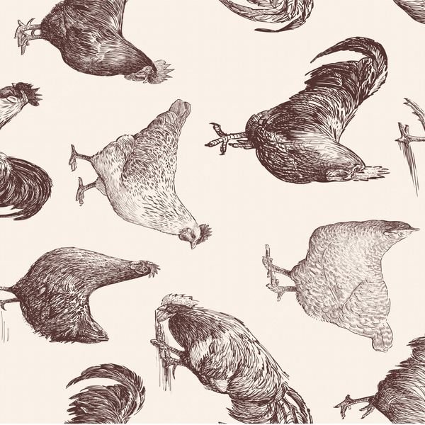 Hand-drawn Chicken Pattern — original textile pattern for nursery licensing