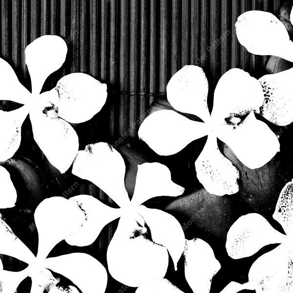 White Floral Silhouettes — original textile pattern for floral licensing