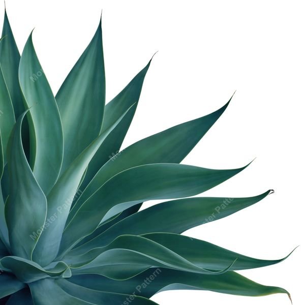 Agave Leaf Pattern — original textile pattern for botanical licensing