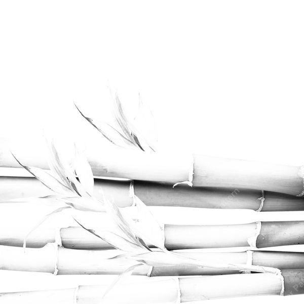 Bamboo Stalks Pattern — original textile pattern for botanical licensing