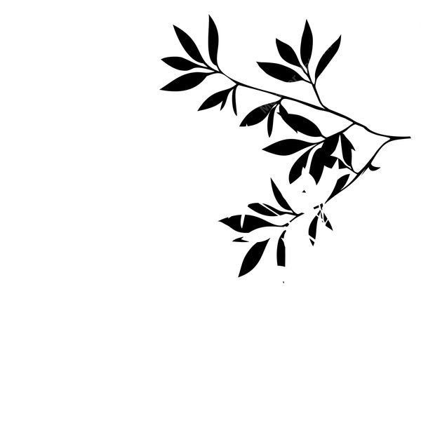 Black Leaf Branch Pattern — original textile pattern for botanical licensing
