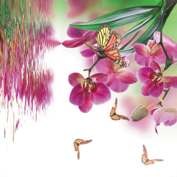 Purple Orchids and Butterflies — original textile pattern for nursery licensing