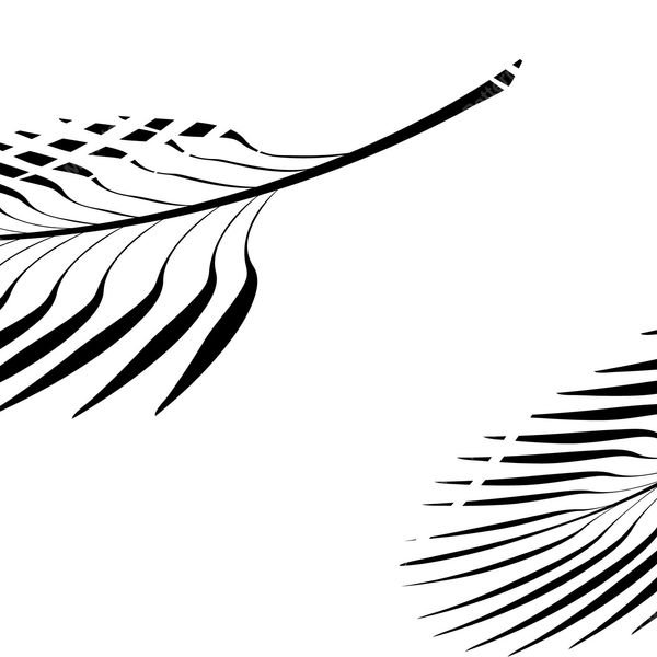 Feather Repeat Pattern — original textile pattern for botanical licensing