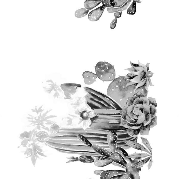 Monochrome Cactus Floral — original textile pattern for botanical licensing