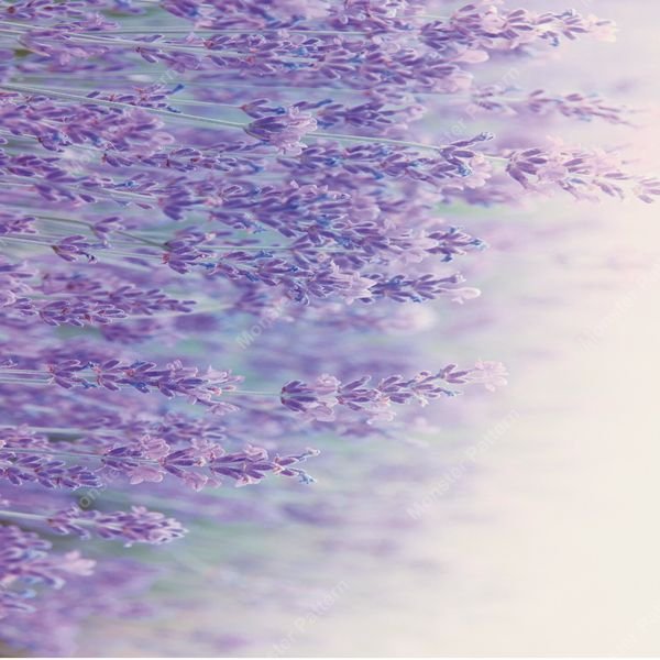 Lavender Field Repeat — original textile pattern for floral licensing